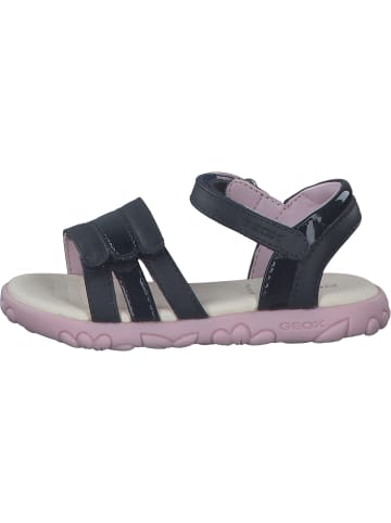 Geox Sandalen in Navy