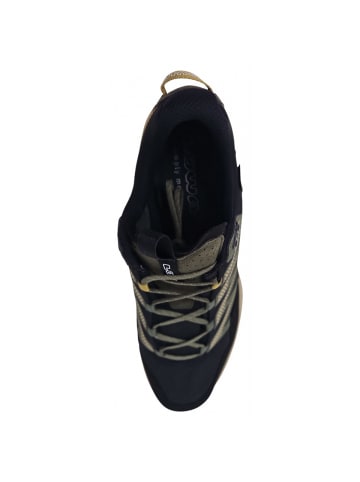 LOWA Wanderschuh Maddox Pro GTX Mid in Schwarz