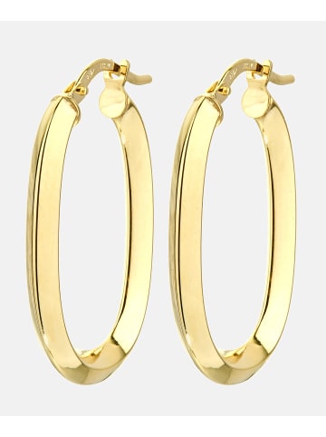 Vanlere Creolen aus 375 Gelbgold