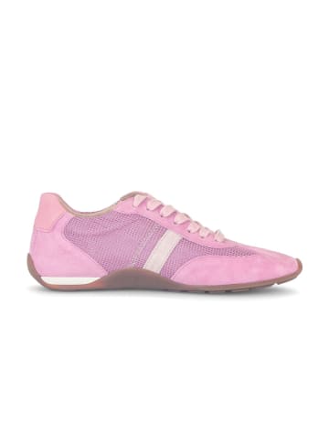 Gabor Sneaker low in rosa