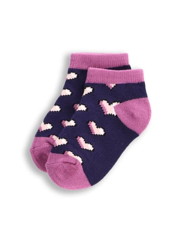 Coccodrillo Socken in bunt