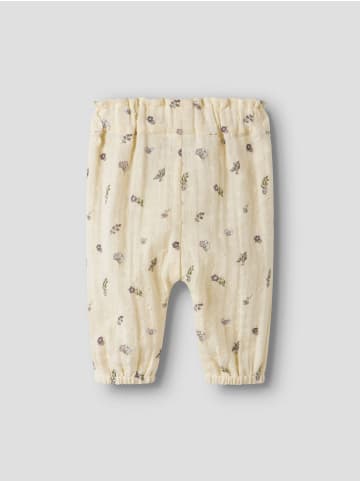 name it Hose in Pear Sorbet