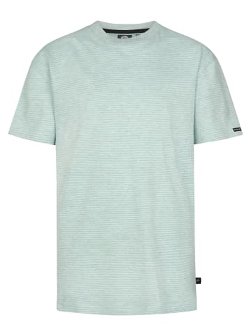 Petrol Industries Gestreiftes T-Shirt Tequila in Grün