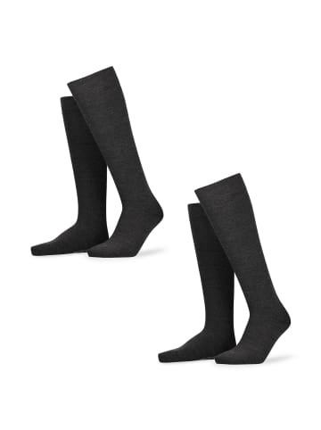 Hudson Kniestrümpfe Only 2-Pack wärmend in anthramel.