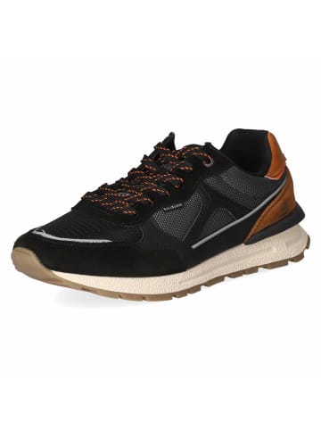 Bullboxer Low Sneaker in schwarz