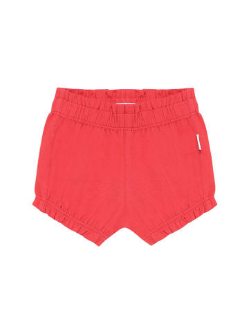 Noppies Shorts in Poinsettia