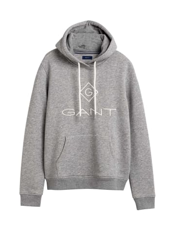 Gant Sweatshirt in Grau