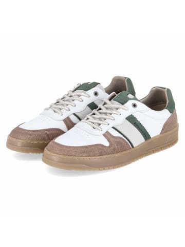 Bullboxer Sneaker in white