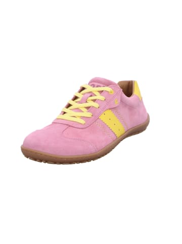 KOEL Schnürschuh in rosa