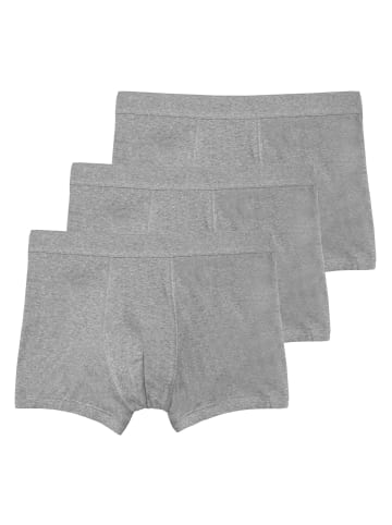 Haasis Bodywear 3er-Set: Pants in graumeliert