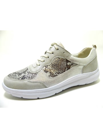 WALDLÄUFER Freizeit Schnürer für Damen in grau