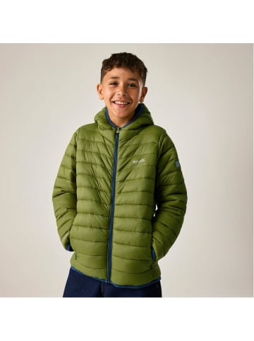 Regatta Marizion Baffle-Jacke / Steppjacke mit Kapuze in grün
