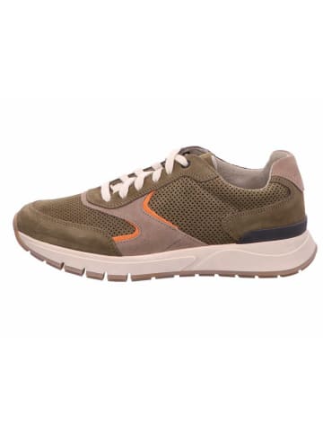 Gabor Sneaker für Herren in braun
