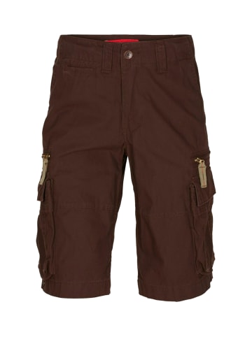 Molecule Cargoshorts BAGGY in Brown