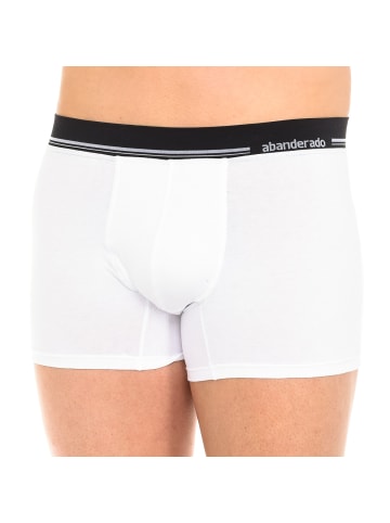 Abanderado Boxershorts in Multicolored