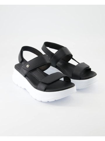 PANAMA JACK Sandalen in Schwarz