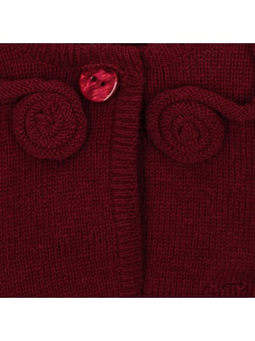 Tutto Piccolo Übergangsjacke in Bordeaux