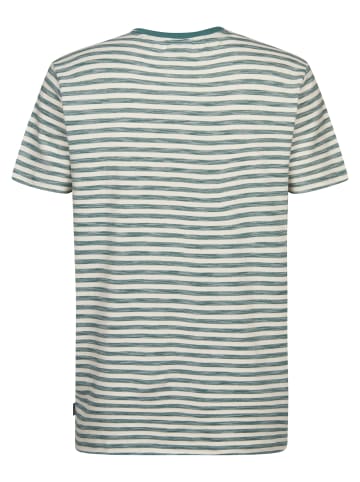 Petrol Industries Gestreiftes T-Shirt Ceniza in Grün