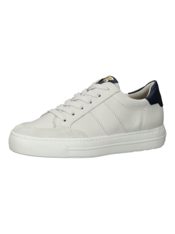 Paul Green Sneaker in Ivory