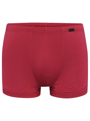 Olaf Benz Boxer RED2555 Minipants in berry