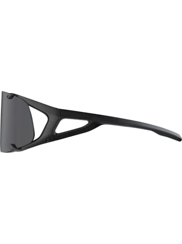 Alpina Ski-Sonnenbrille in schwarz
