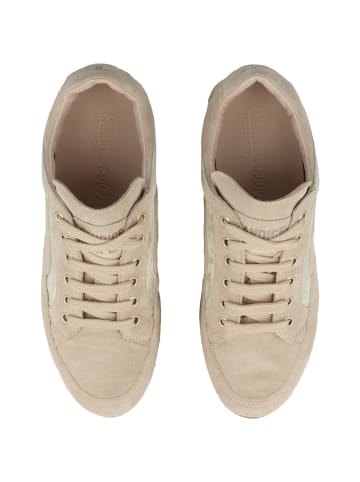 Candice Cooper Sneaker low RUNLO FLASH in beige