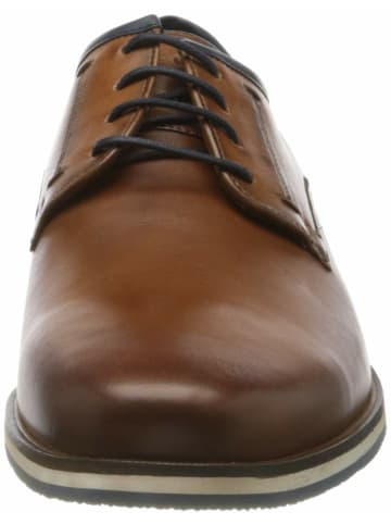 LLOYD Komfort Schnürer für Herren in braun