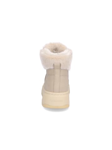 BLAUER USA Schnürboot Maribel in Taupe