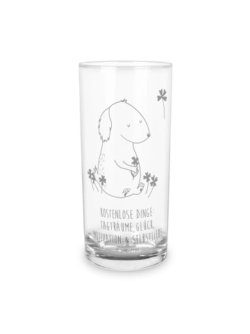Mr. & Mrs. Panda Tumbler Hund Kleeblatt mit Spruch in Transparent