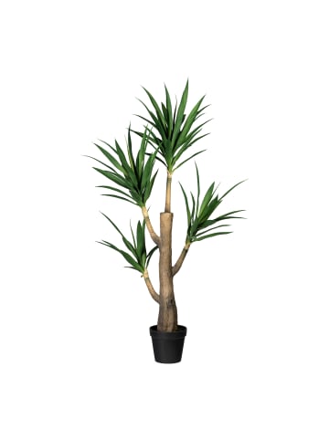 Creativ green Deko-Sukkulente Dracaena in grün