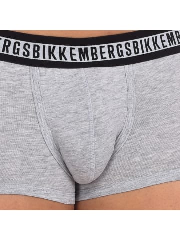 Bikkembergs 2er-Set: Boxershorts in Gray