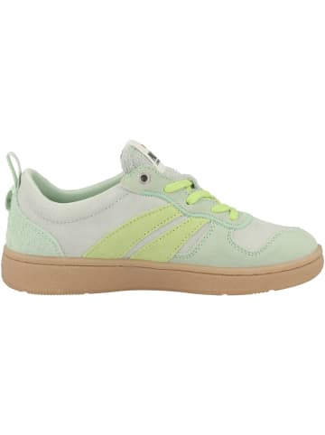 Palladium Sneaker low Pallacup Flame Sde in gruen