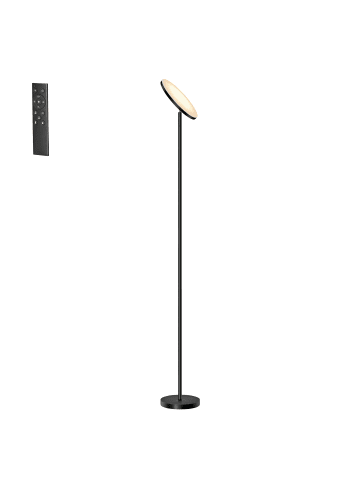 VASAGLE Standleuchte Lusia in Schwarz - (B)25 x (H)176 x (T)25 cm