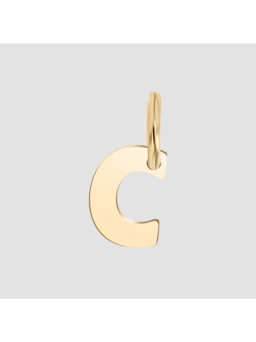 Adeliás Unisex Anhänger – Buchstabe N Buchstabenanhänger aus 375 Gold in gold