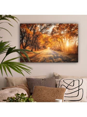 MuchoWow Leinwand Bilder Waldweg