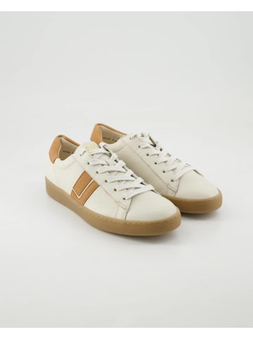 Paul Green Klassische Schnürschuhe in Beige