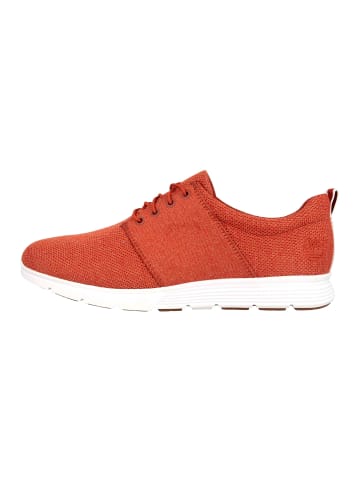 Timberland Sneaker in Rot