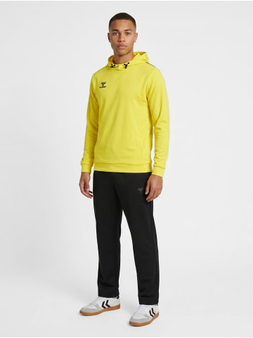Hummel Kapuzenpullover Hmlauthentic Herren in BLAZING YELLOW