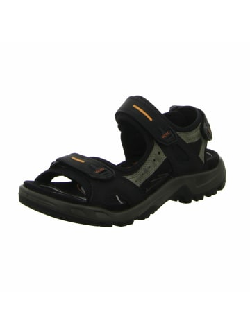 Ecco Komfort Sandalen für Herren in schwarz