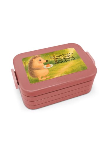 Mr. & Mrs. Panda MEPAL Bentobox Igel Kuchenstück Design mit Spruch in Rot Pastell
