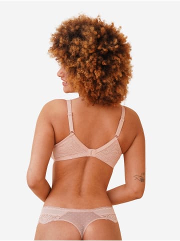 SugarShape BH Clara Lace in apricot