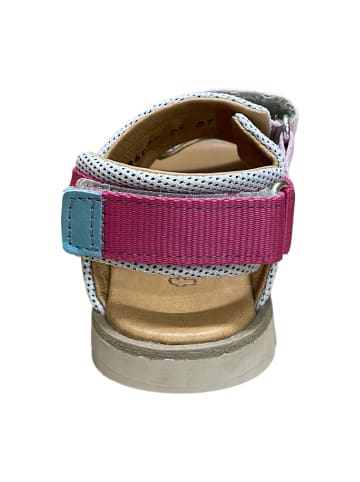 Froddo Sandalen in Bunt