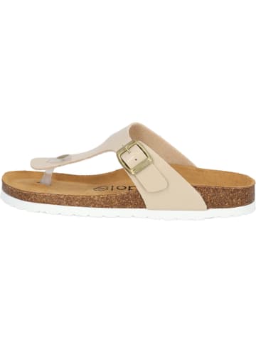 palado Zehentrenner in cream/gold/grey/cream