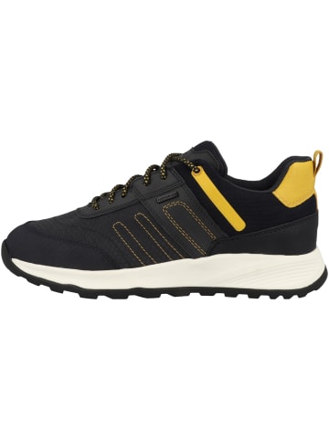 Geox Sneaker low U Terrestre B Abx A in dunkelblau