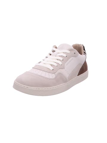 Groundies Schnürschuh in grau