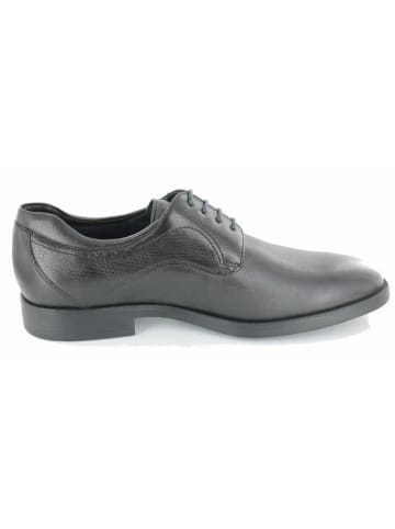 Sioux Schnürschuh in schwarz