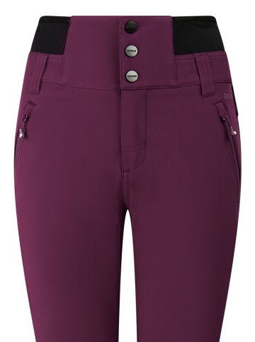 Protest " PRTHindon in Current purple