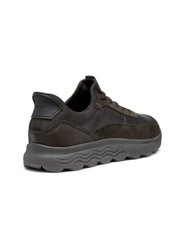 Geox Sneakers Low U Spherica Plus A in braun