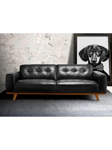 Angel Cerdá Chester-Sofa 6031 in Walnuss / Schwarz