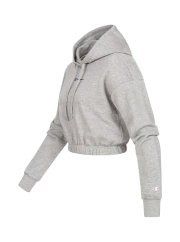 Champion Champion Kapuzenpullover in grey